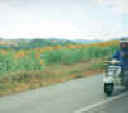 4.jpg (42785 byte)